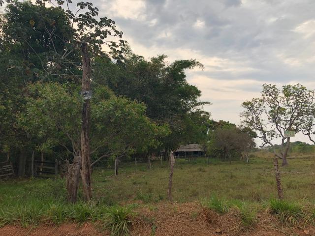 Chácara - Foto 4
