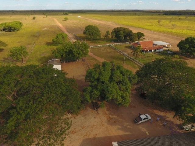 935 há (193 alq) Pecuária e Grãos com ótima sede e benfeitorias e pista de pouso de 1.300m - Foto 5