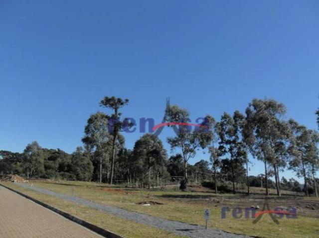 Terreno em caxias do sul - Foto 6