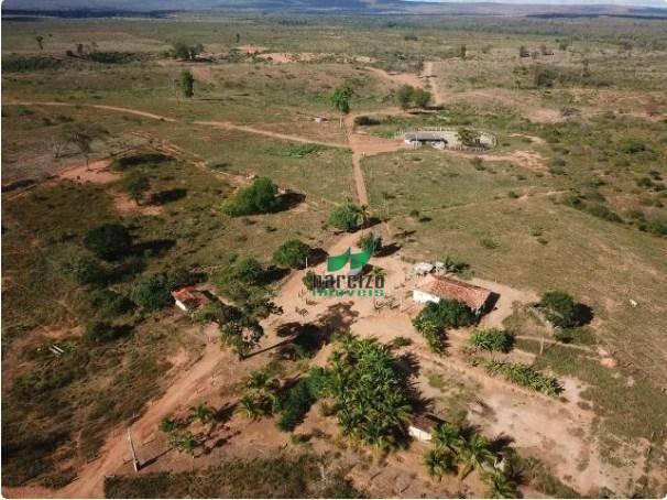 Fazenda rural à venda, chapada diamantina, andaraí. - Foto 8
