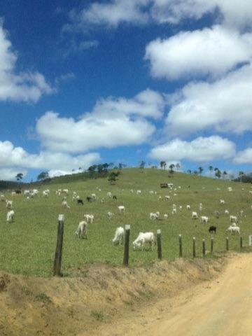 Fazenda rural à venda, fa0003. - Foto 6