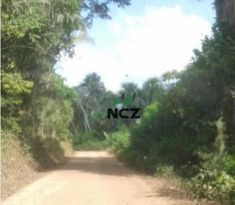 Fazenda à venda, 1450200000 m² por R$ 146.000.000 - Parque Independência - Chapadinha/MA - Foto 7