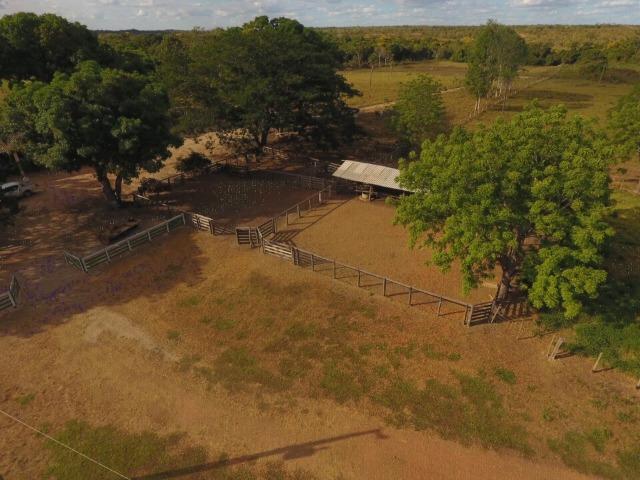 935 há (193 alq) Pecuária e Grãos com ótima sede e benfeitorias e pista de pouso de 1.300m - Foto 10