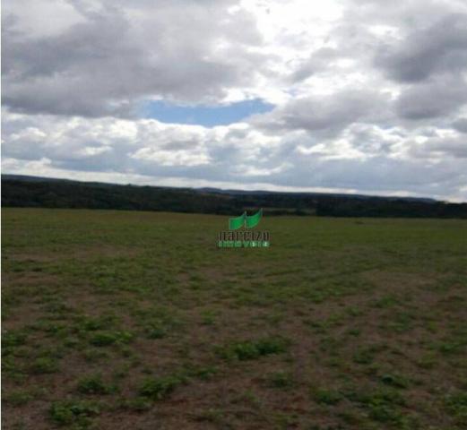 Fazenda à venda, 1113200 m² por r$ 3.800.000 - linha mangabeira - santa maria do oeste/pr - Foto 5