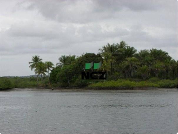 Fazenda à venda, 4080000 m² por r$ 5.000.000 - barra grande - maraú/ba