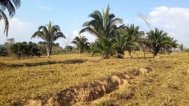 Fazenda 142 ha Serra de São Vicente MT - Foto 3