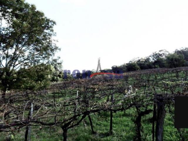Terreno em caxias do sul - Foto 4