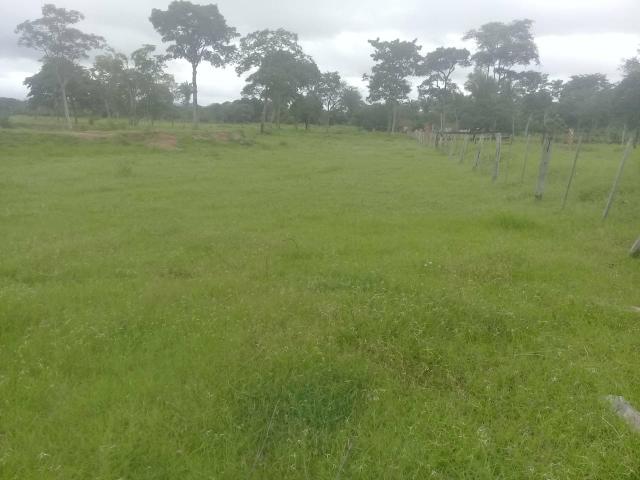 Fazenda 80 hectares próximo a Cuiabá - Foto 3