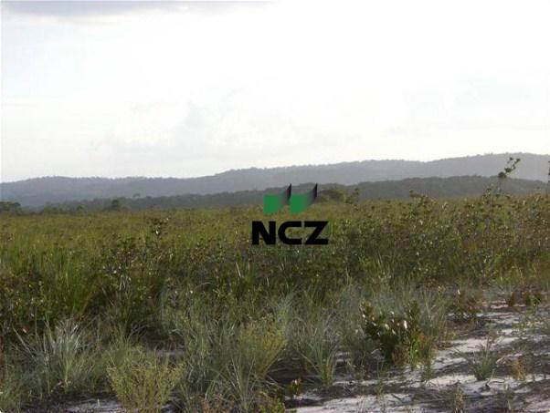 Fazenda à venda, 4080000 m² por r$ 5.000.000 - barra grande - maraú/ba - Foto 16