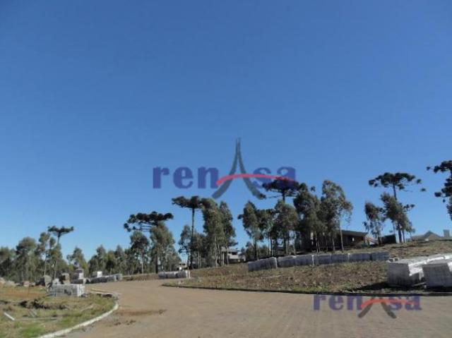Terreno em caxias do sul - Foto 2