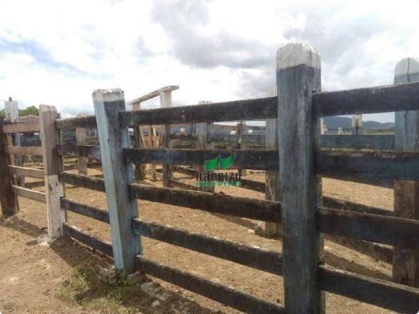 Linda fazenda à venda, 8000000 m² por r$ 6.300.000 - inocoop - itamaraju/ba - Foto 18
