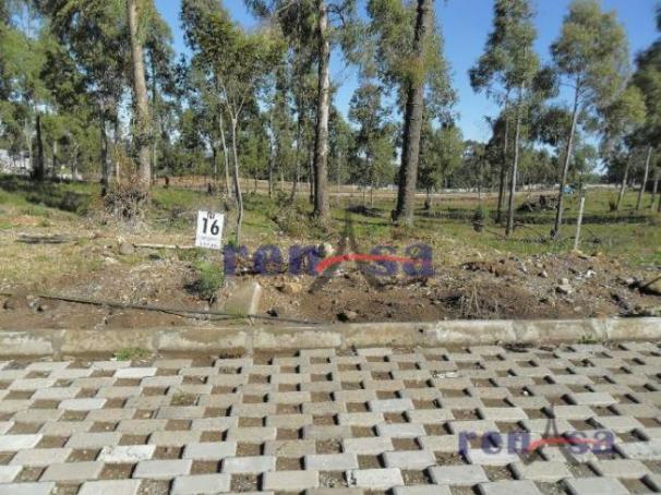 Terreno em caxias do sul - Foto 3