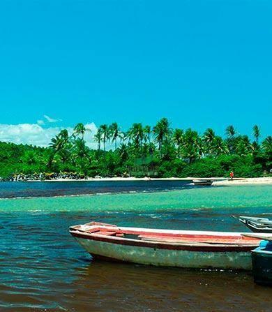 Fazenda rural à venda, caraiva, porto seguro. - Foto 13