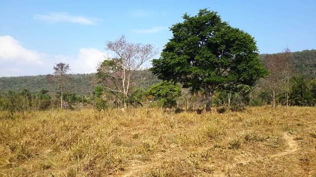 Fazenda 142 ha Serra de São Vicente MT - Foto 13