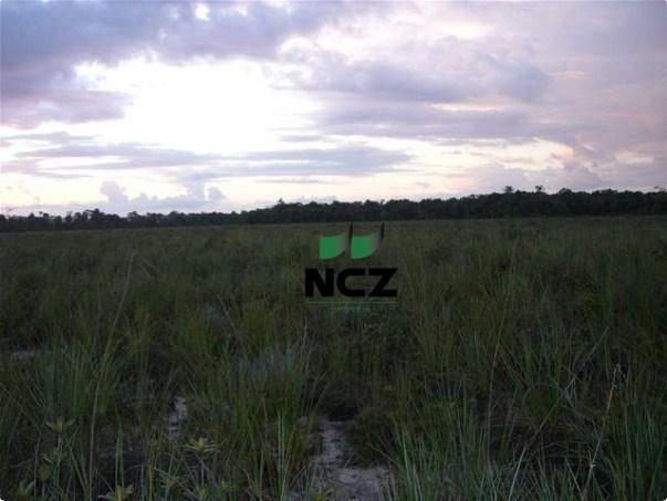 Fazenda à venda, 4080000 m² por r$ 5.000.000 - barra grande - maraú/ba - Foto 14
