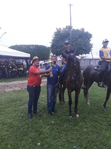 Cavalo MM Castrado de Picado 