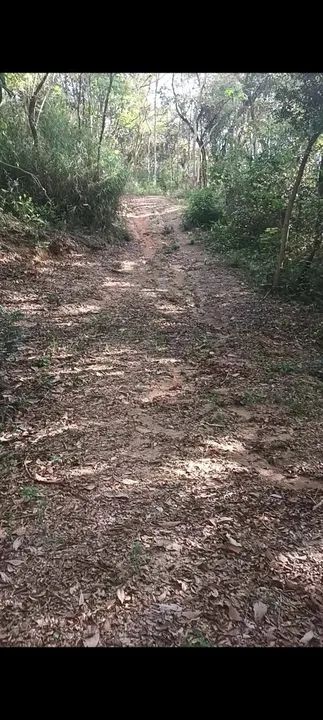 Terreno com área verde e lagoa em Bambus - Esmeraldas - Foto 4