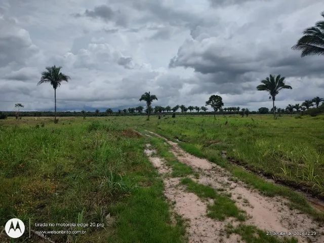 Fazenda em Cantanhede do Maranhão  - Foto 4