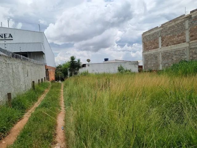 Lote comercial em arniqueiras  - Foto 5