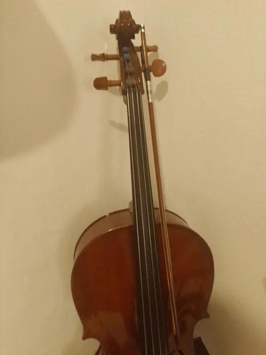 Violoncelo Eagle C 200