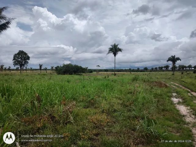 Fazenda em Cantanhede do Maranhão  - Foto 2