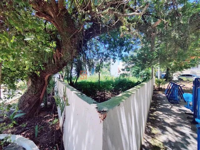 Coqueiros | Terreno - Foto 5