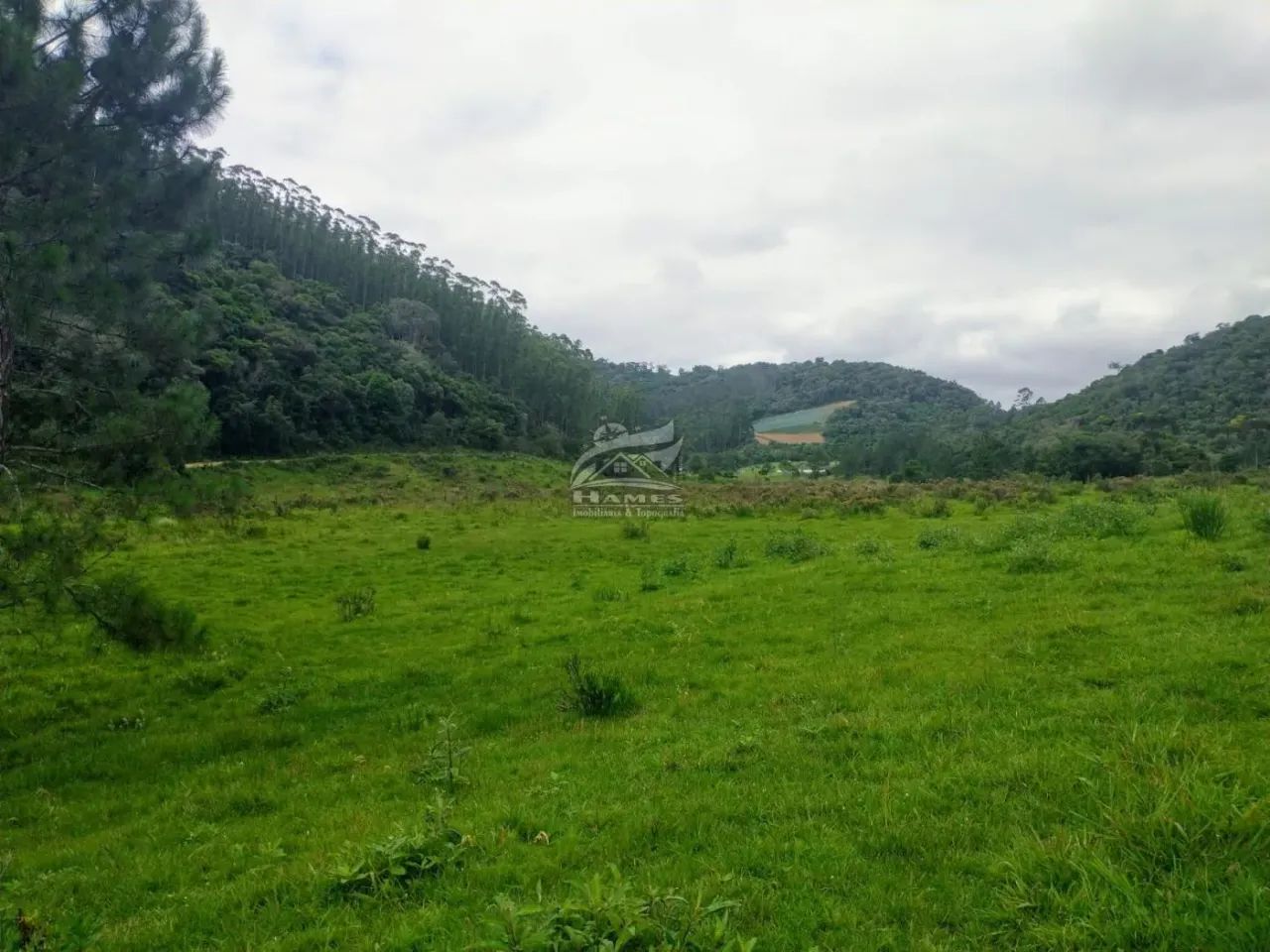 Terreno Rural para Venda em Angelina, TERCEIRA LINHA - Foto 4