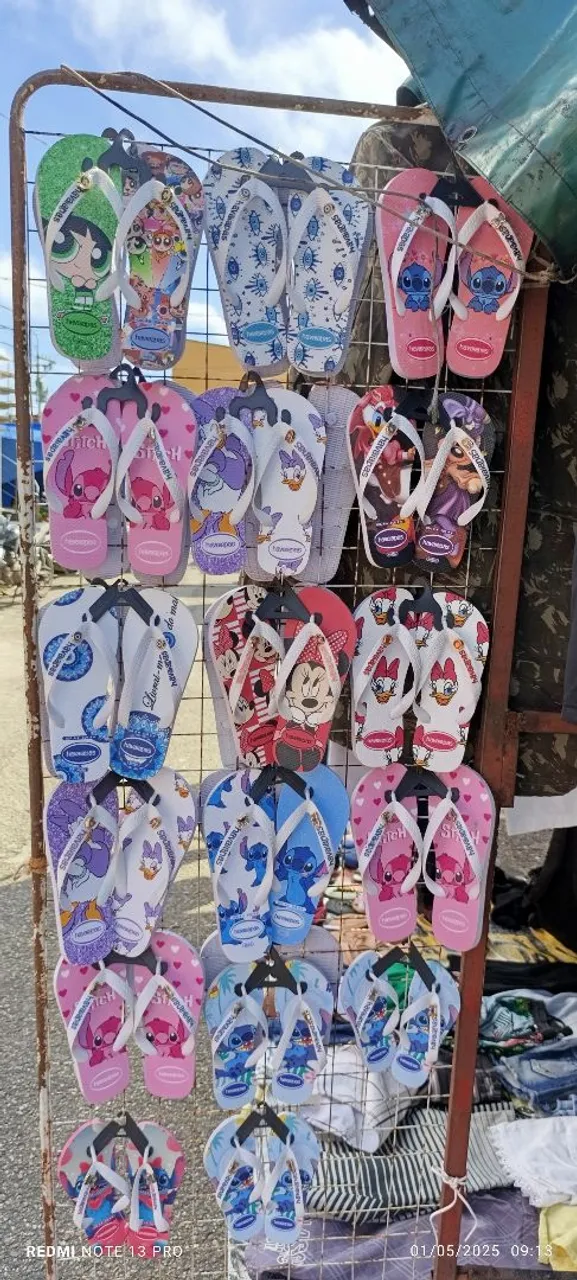 Sandálias Havaianas Diversas