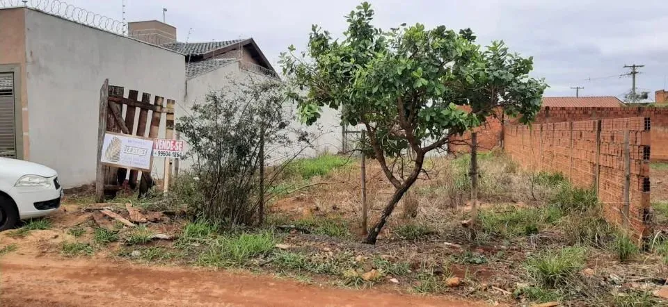 Campo Grande - Terreno Padrão - Centenário