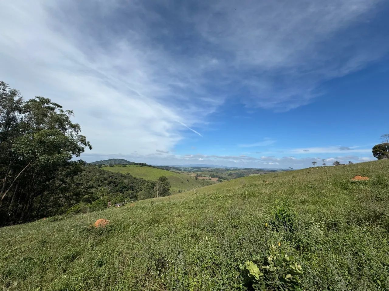 Fazenda em Entre Rios de Minas  - Foto 4
