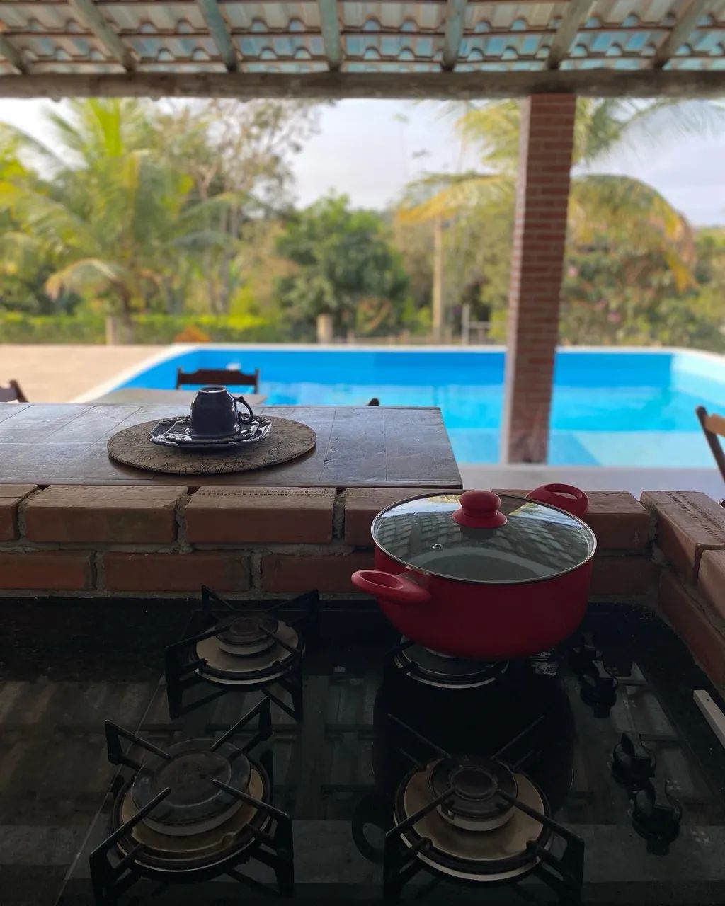 Canto dos pássaros  - Foto 11