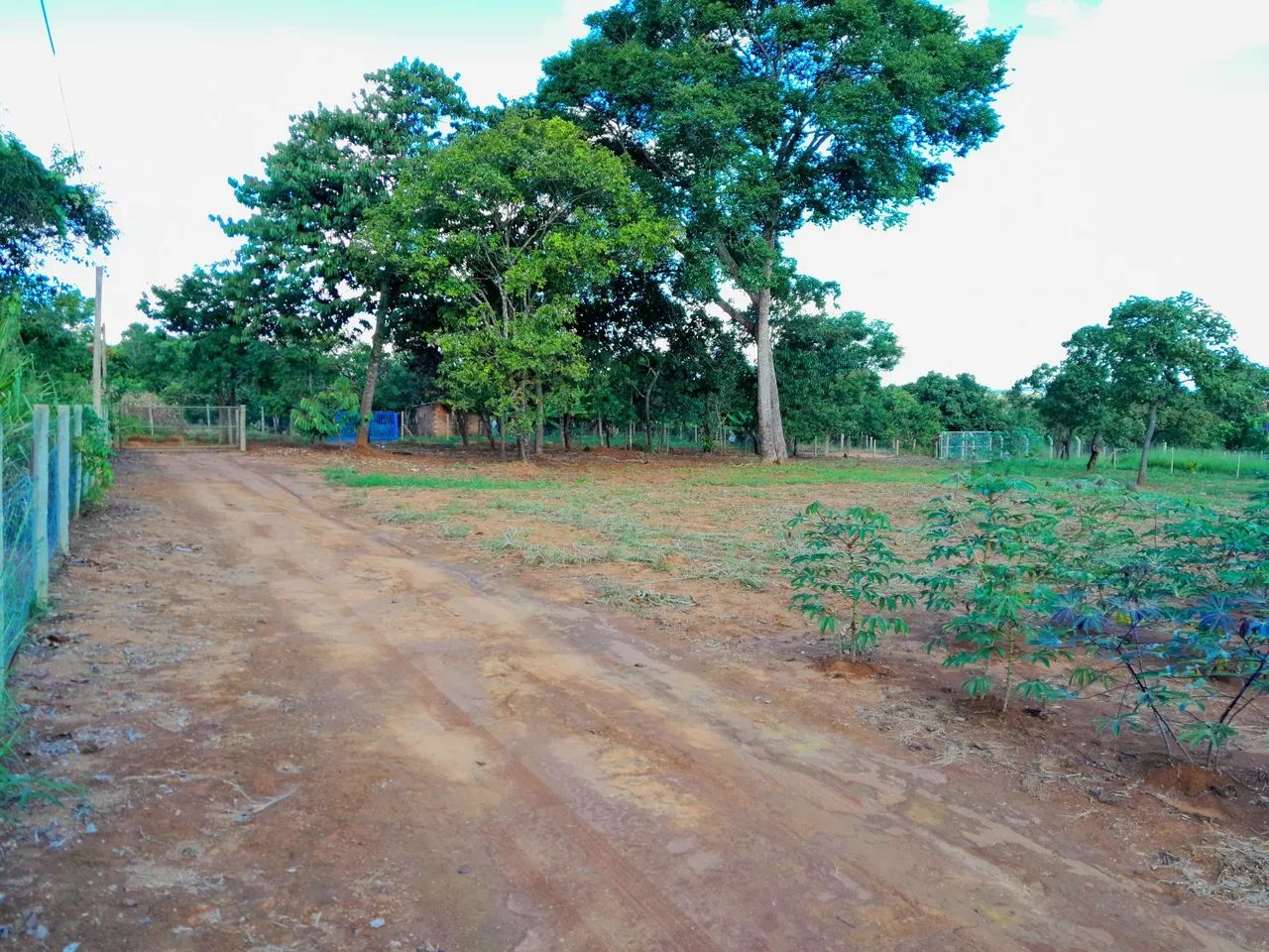 Chácara 7.500M2 em Bonfinópolis-Go  - Foto 3