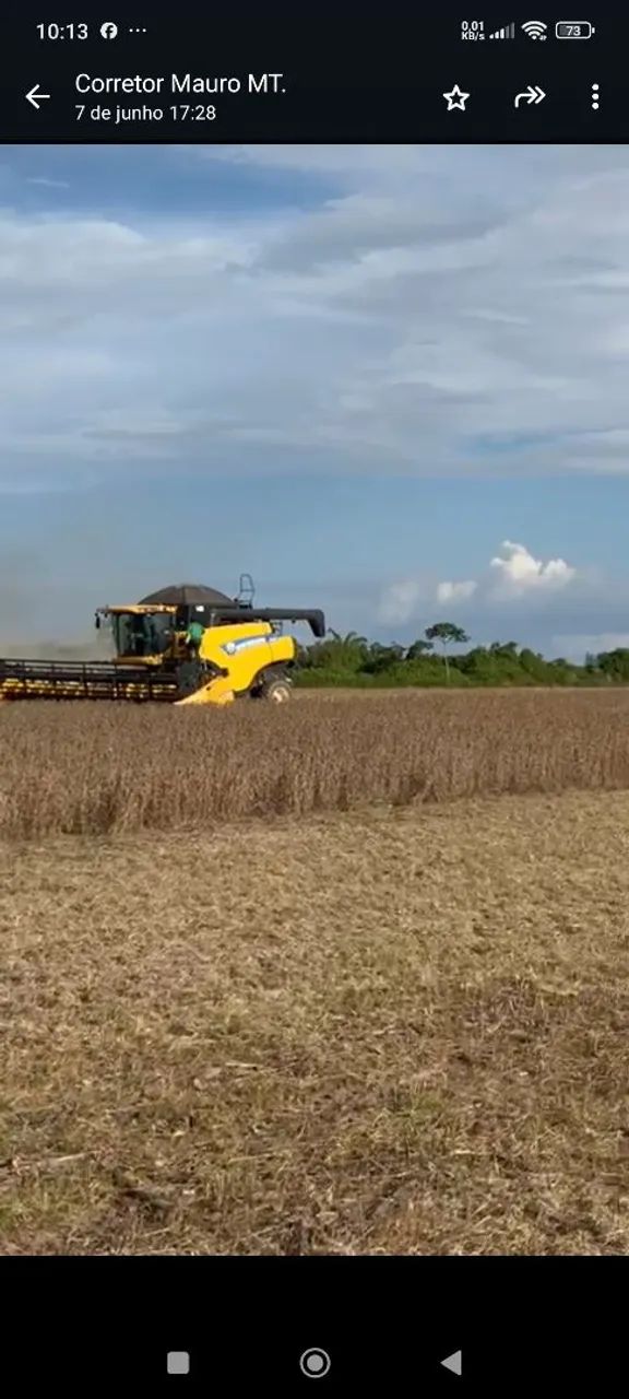 Fazenda 13.800hec no Xingú MT. Planta 6.000, aberta 7.200 plantando hoje 4.100hec