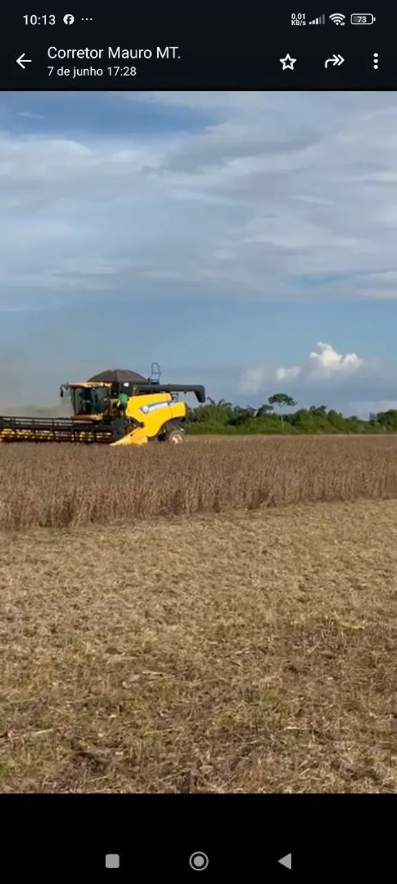 Fazenda 13.800hec no Xingú MT. Planta 6.000, aberta 7.200 plantando hoje 4.100hec
