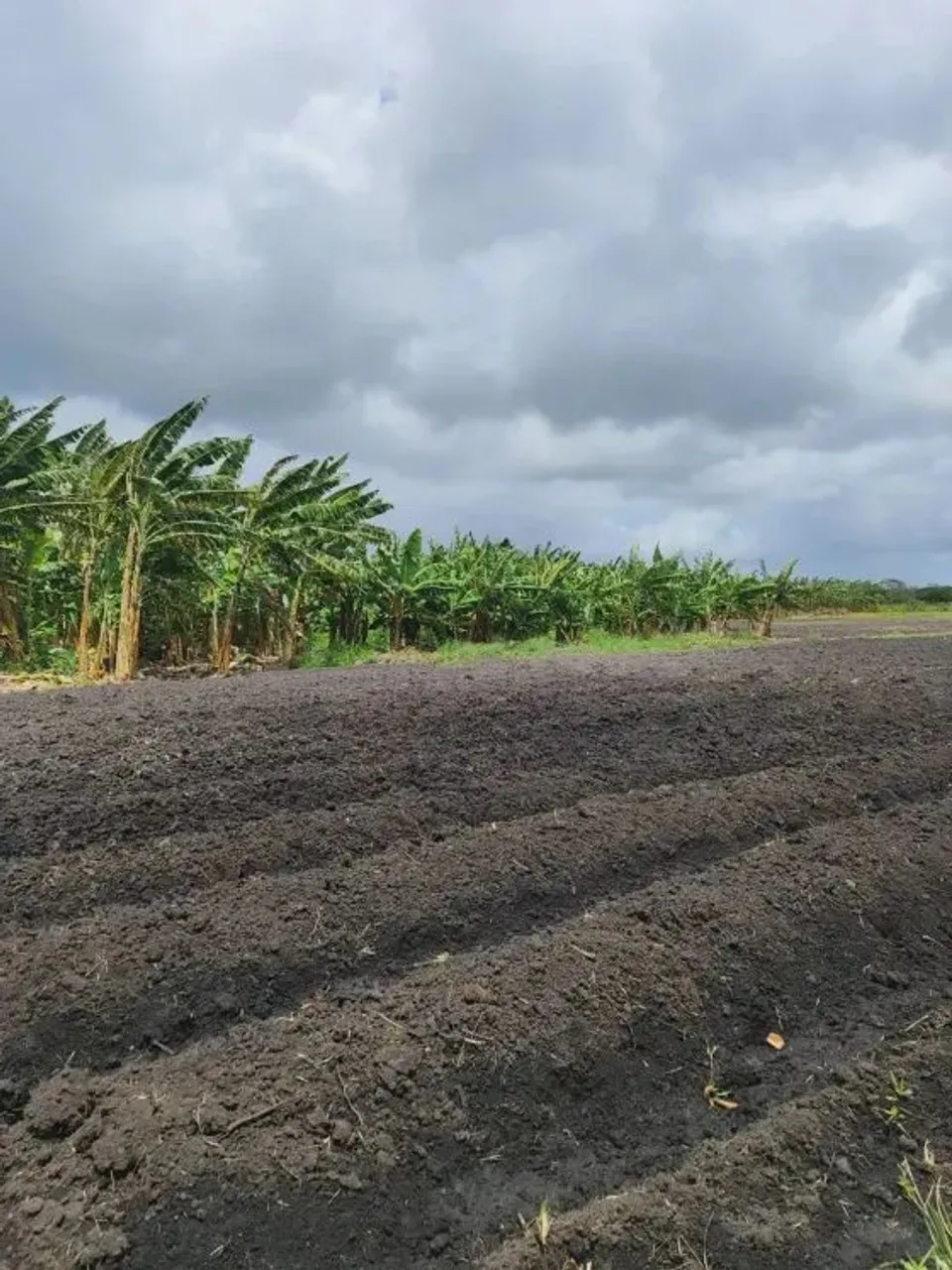 fazenda com 253.4 hectares próximo a punau na região de rio do fogo