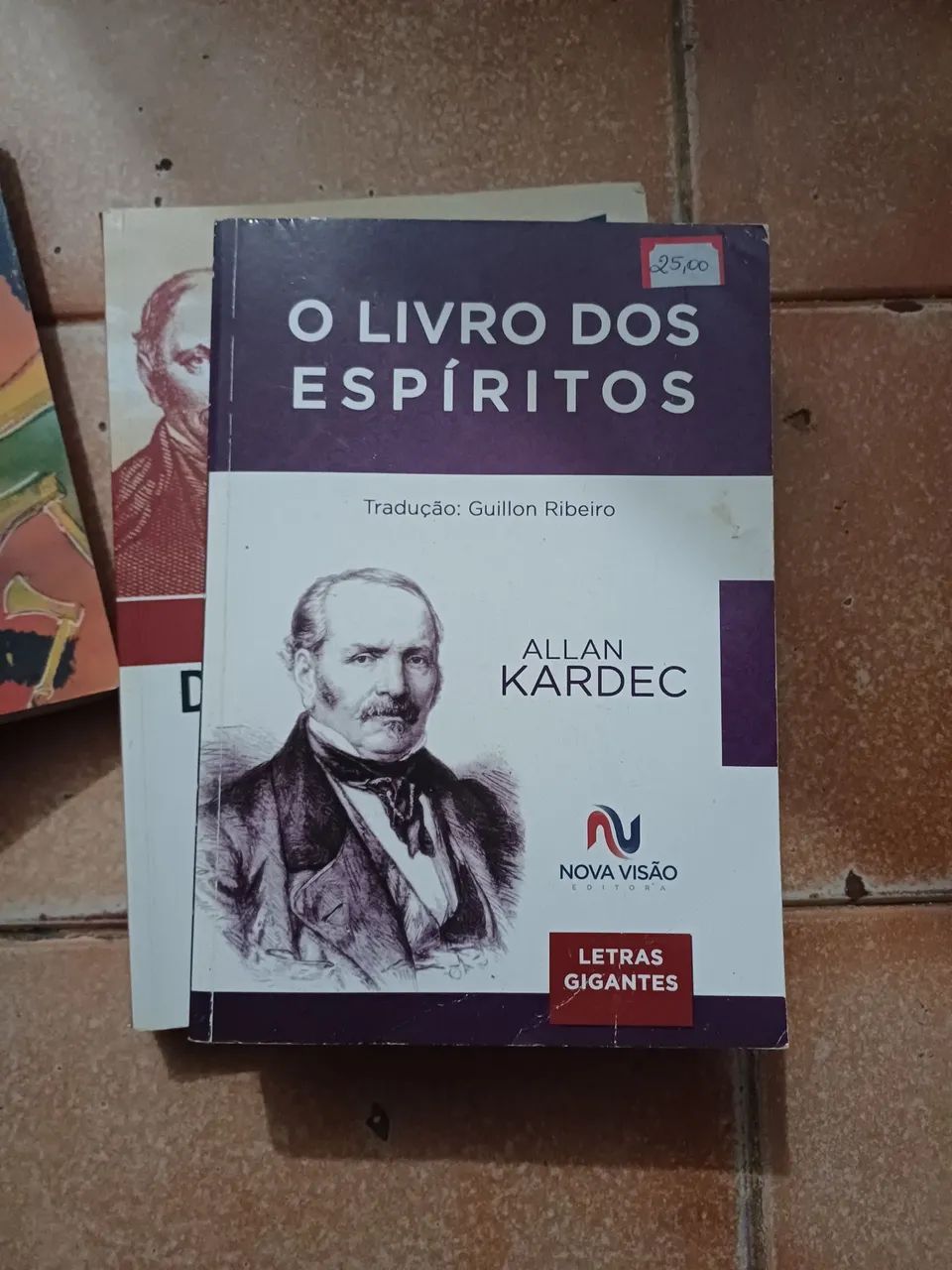 O Livro dos Espíritos - Allan Kardec