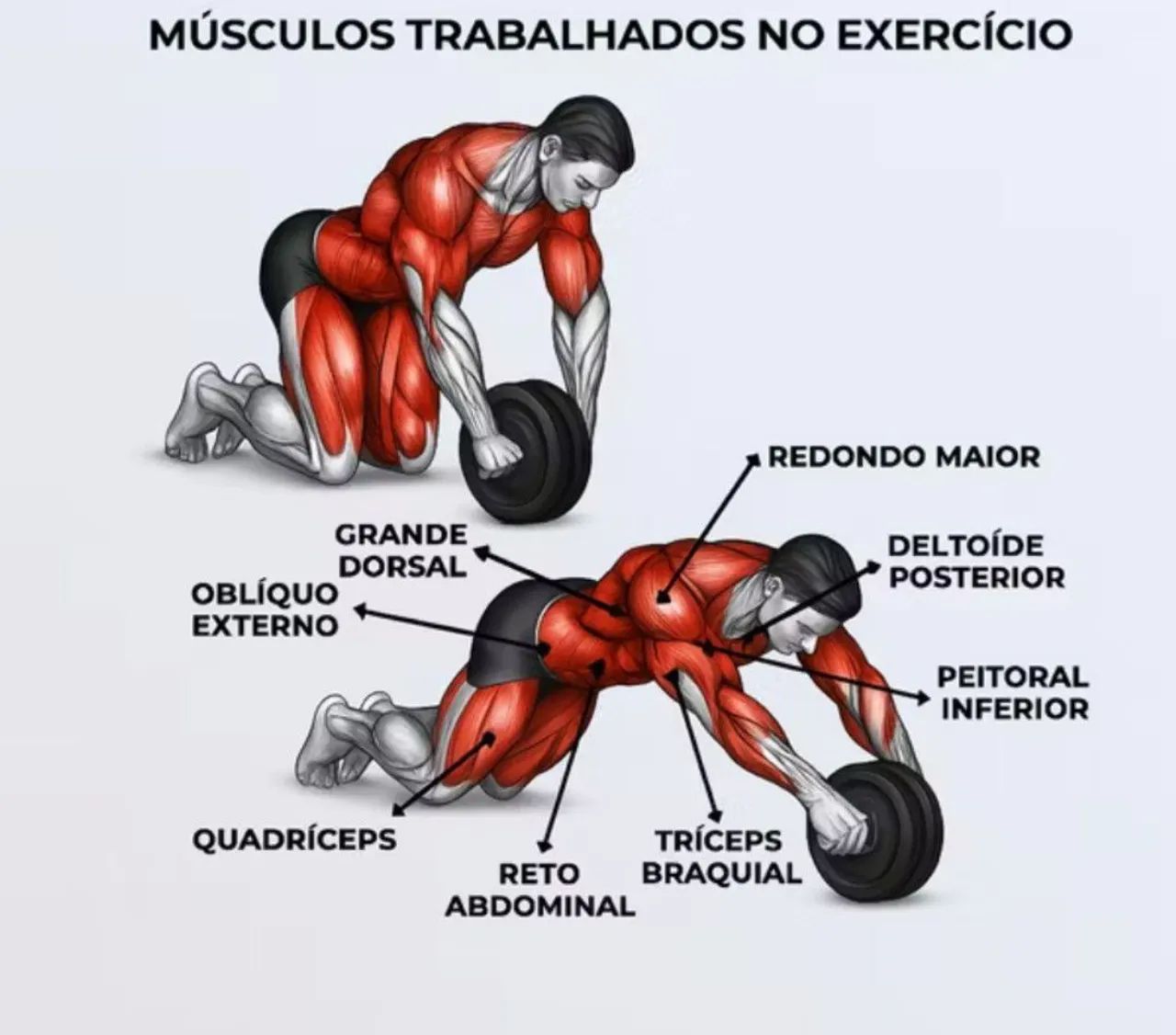 Roda de Exercício Abdominal Lombar para Academia - Foto 5