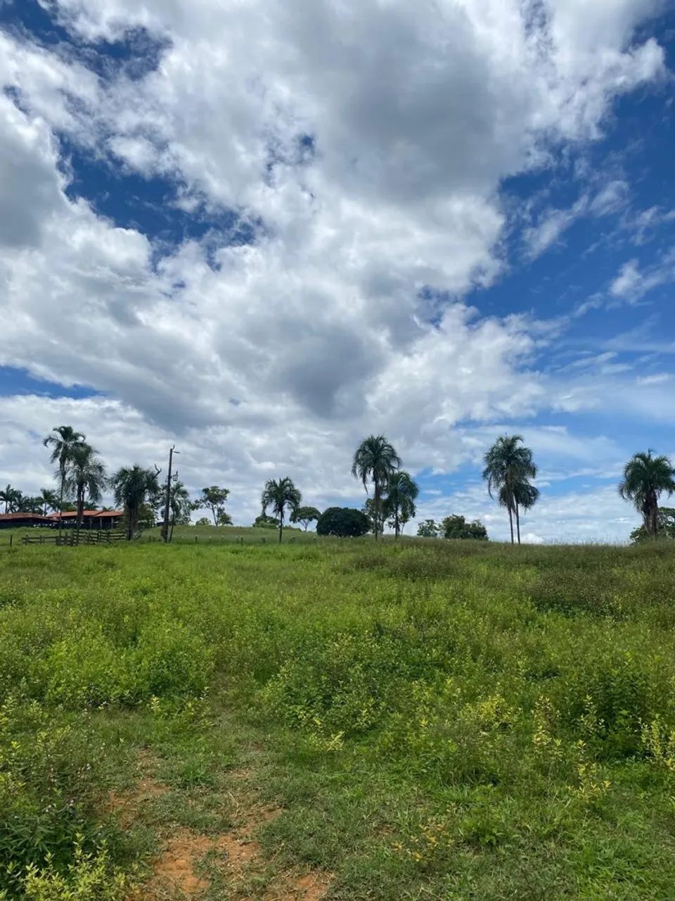 Fazenda em Padre Bernardo  - Foto 2