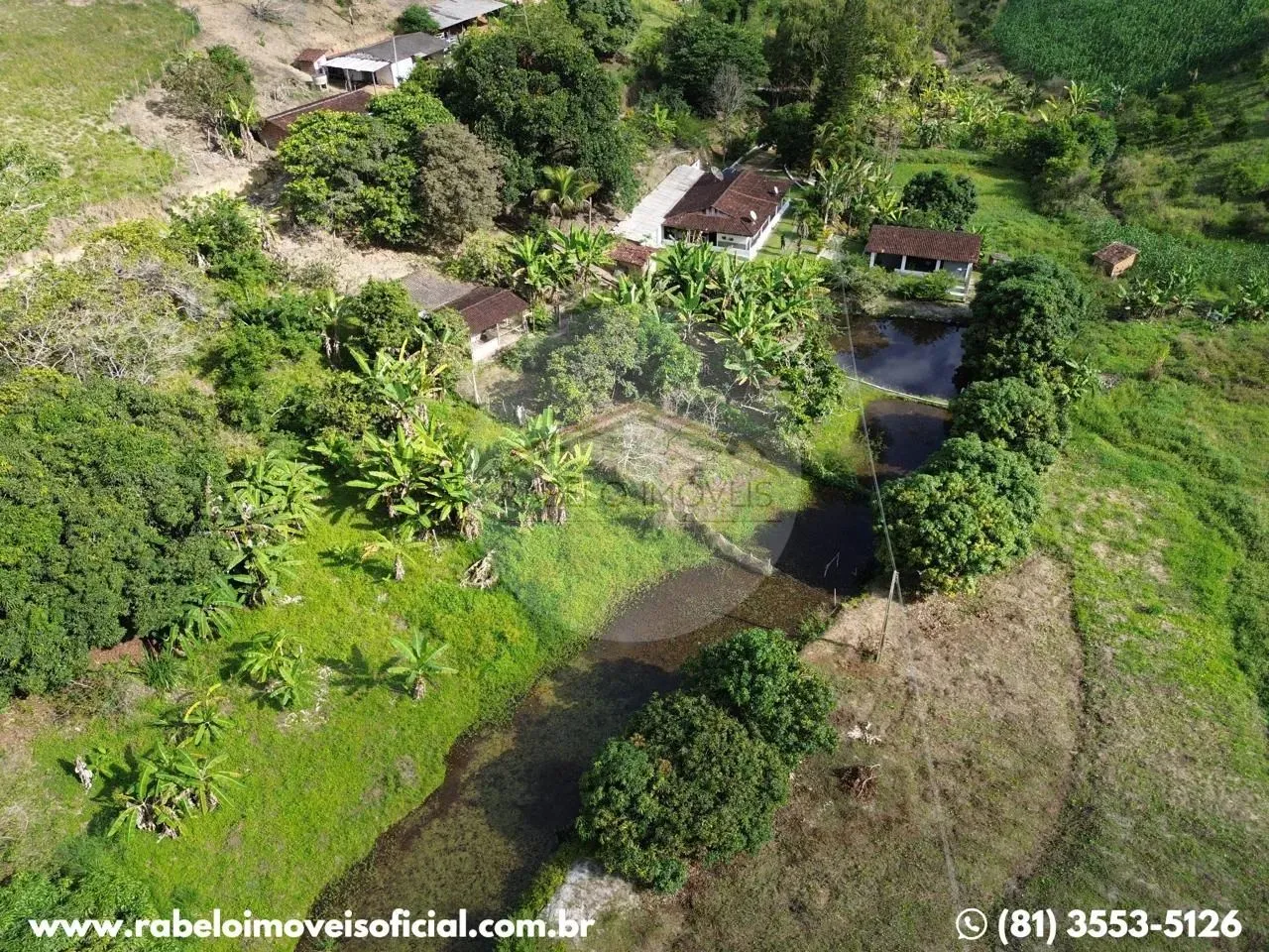 Sítio à venda em Brejo Velho - Gravatá com 4 hectares