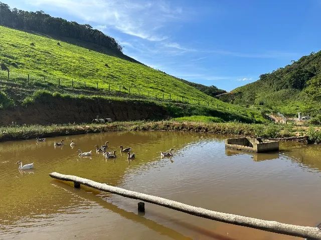 Sítio 70 hectares Juiz de Fora Mg 1,4k - Foto 8