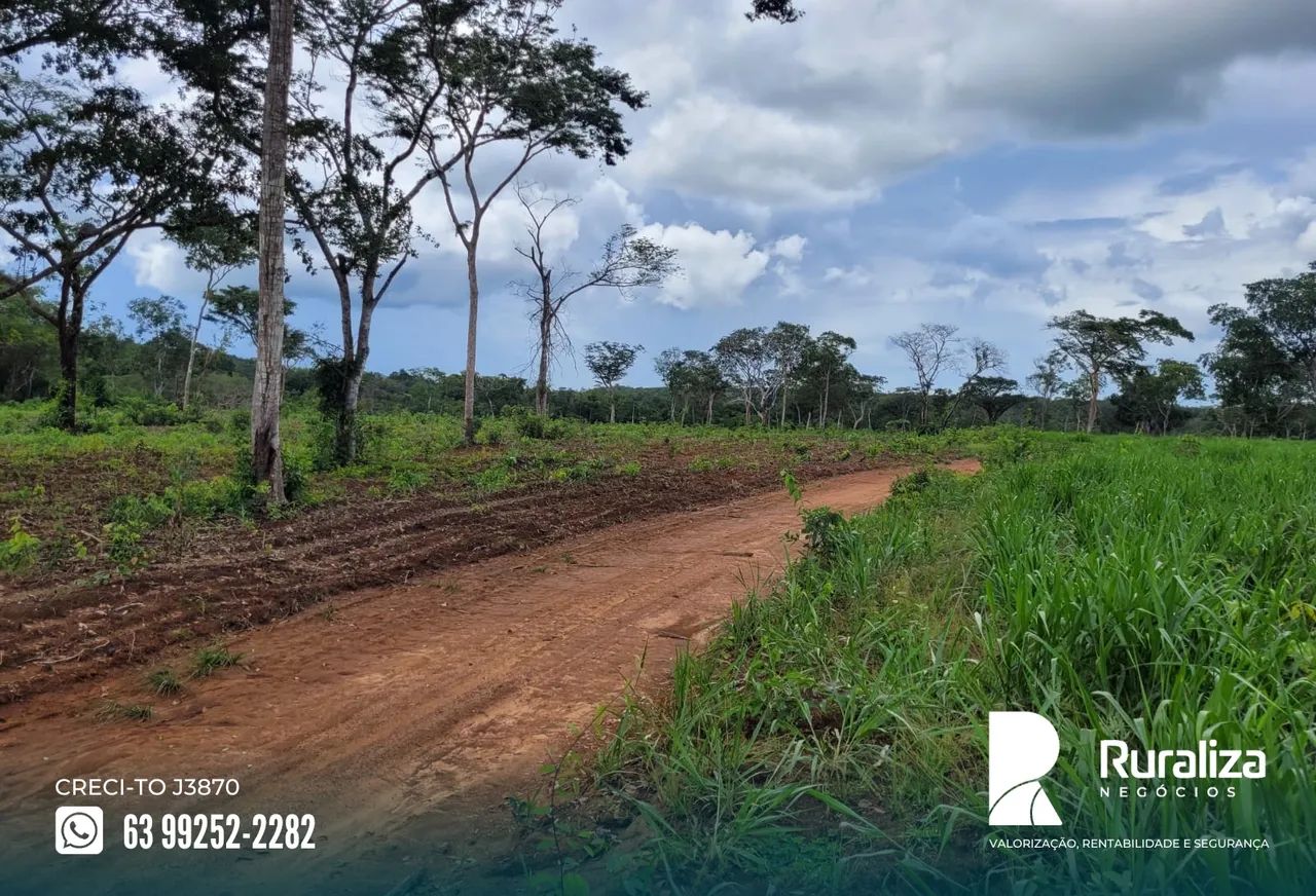 Aparecida do Rio Negro - TO com 60% de aproveitamento para lavoura, à 8 km do asfalto