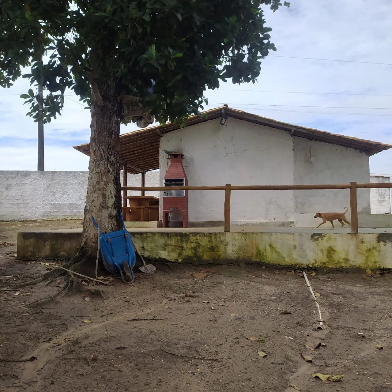 Vende-se ou troca chácara em Salgado nas quebradas 4 - Foto 4