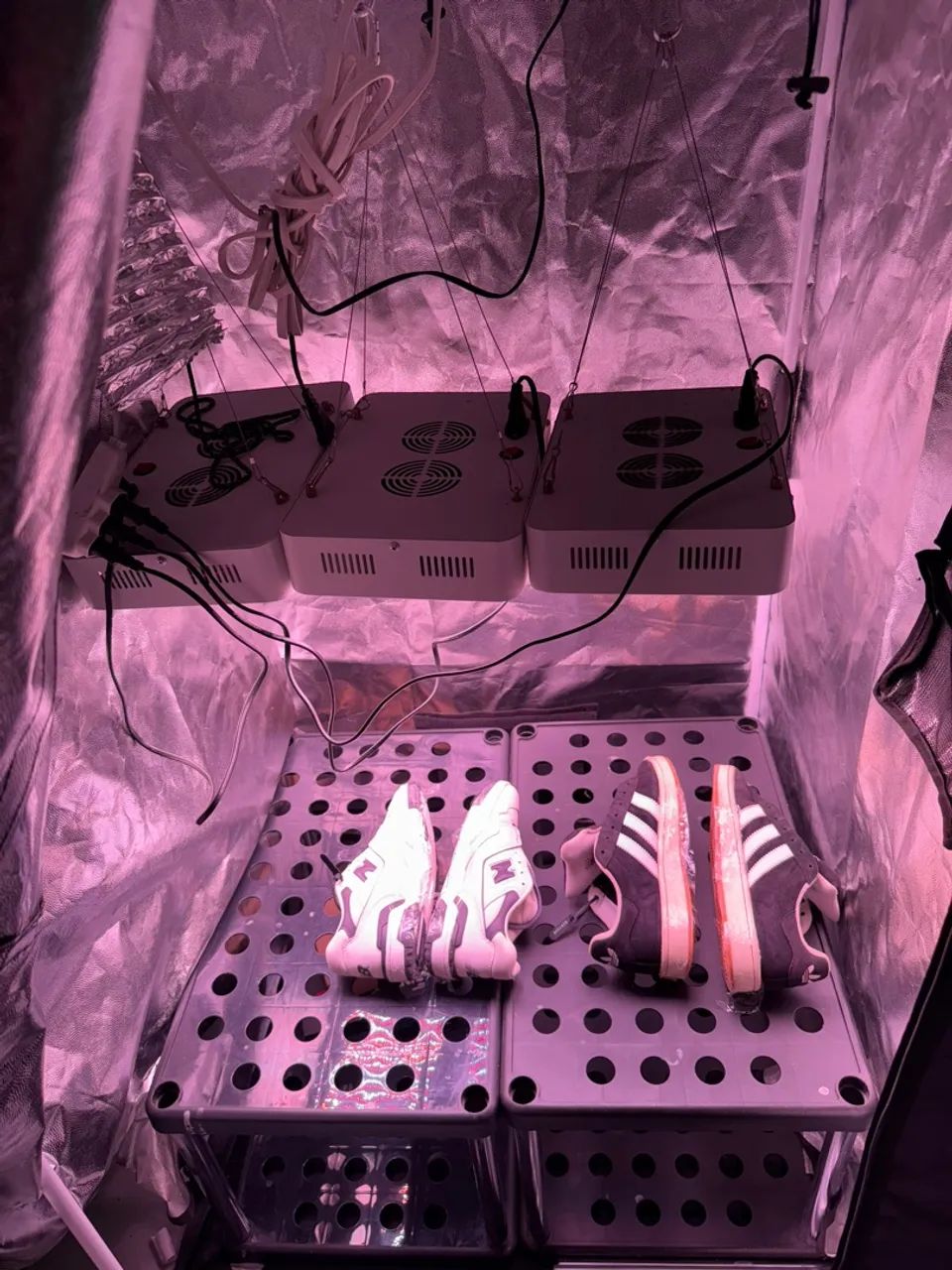 Grow Tent Probox Basic + 3 luminarias 1500w - Foto 2