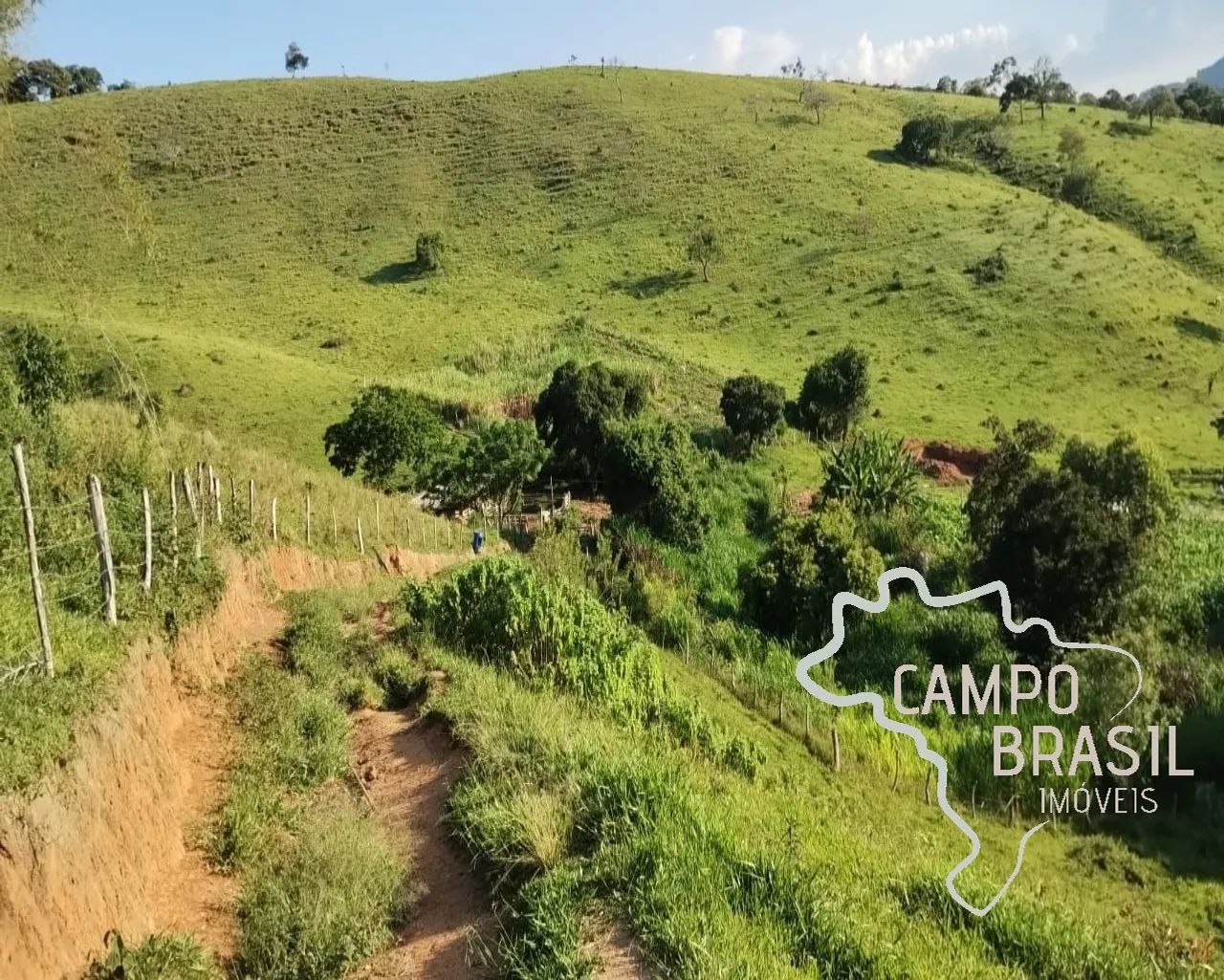 SÍTIO 23 ALQUEIRES EM TAUBATÉ ! - Foto 5