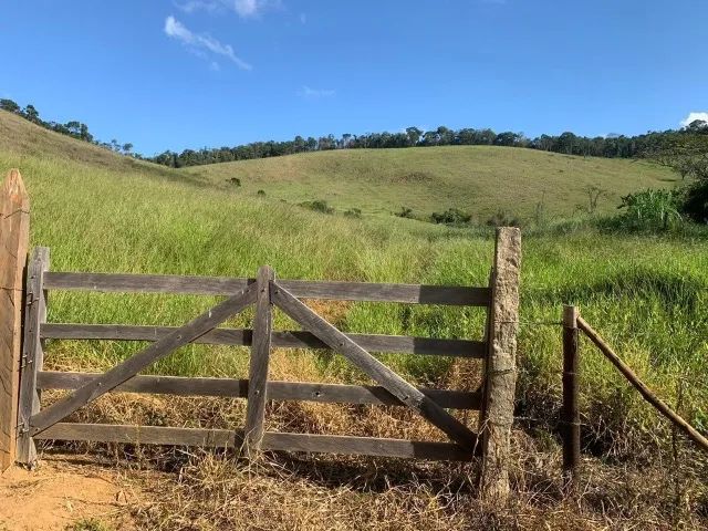 Sítio 70 hectares Juiz de Fora Mg 1,4k - Foto 5