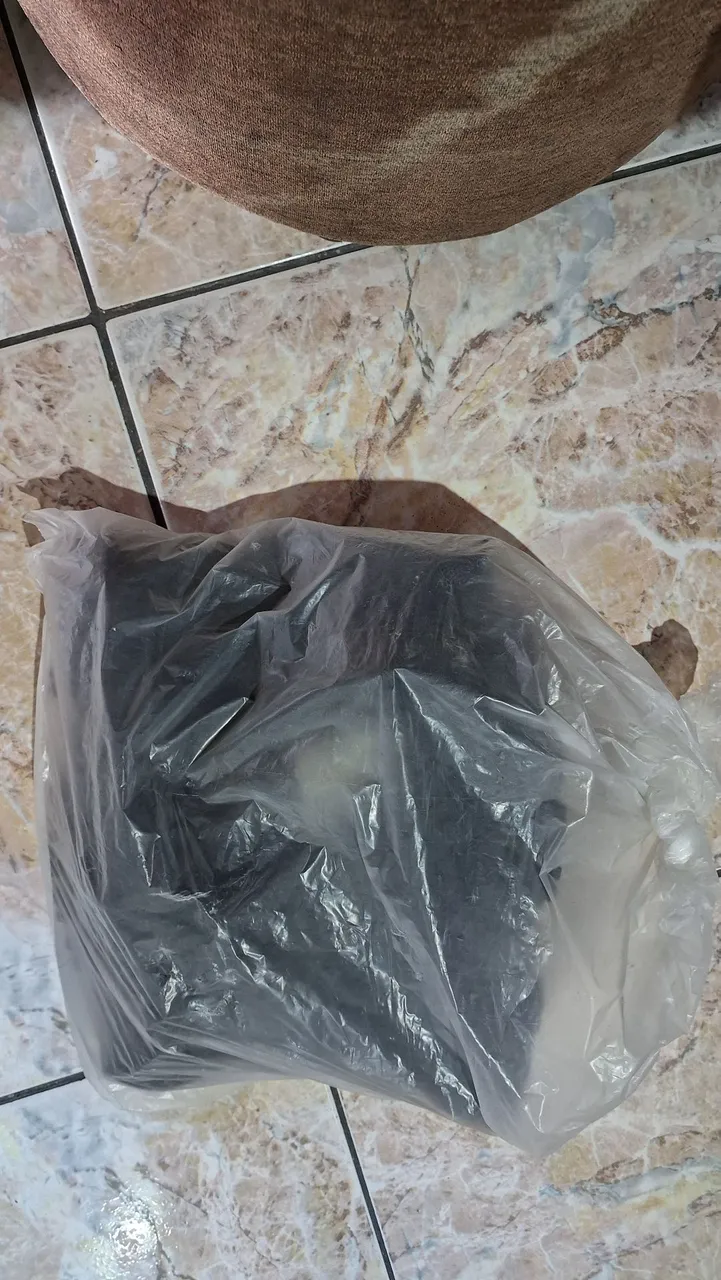 Coturno