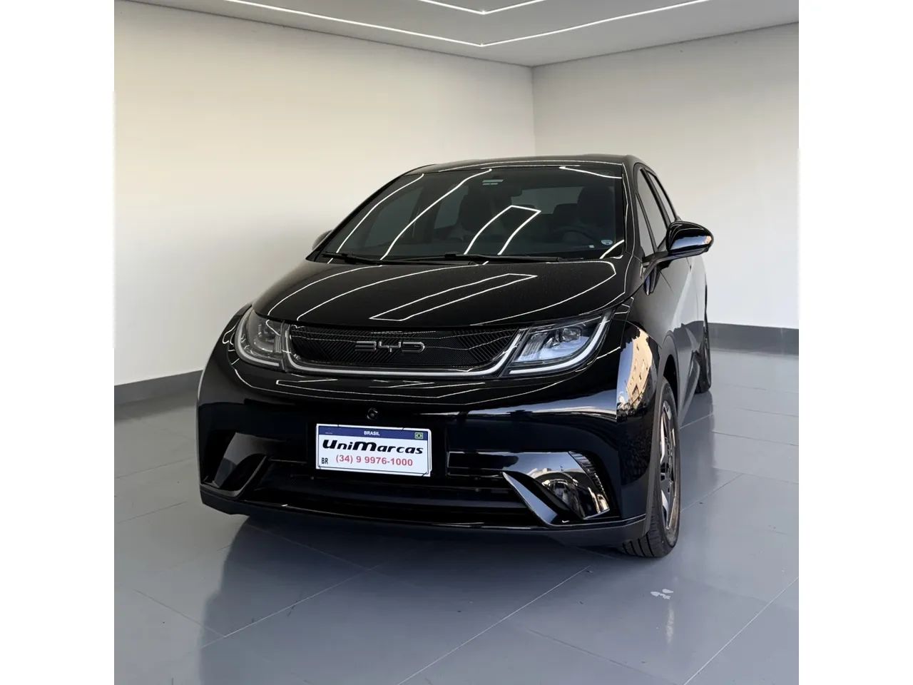 BYD Dolphin EV (Elétrico) 2024