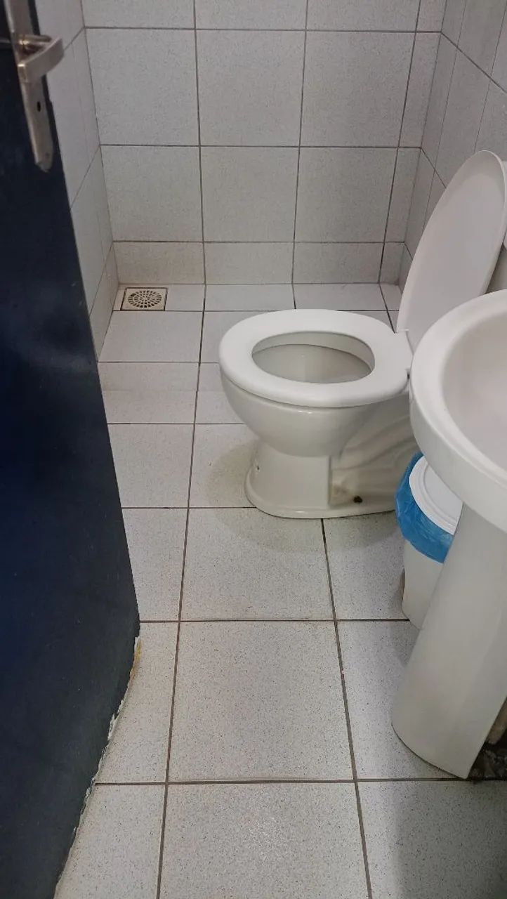 Sou diariarista - Foto 4