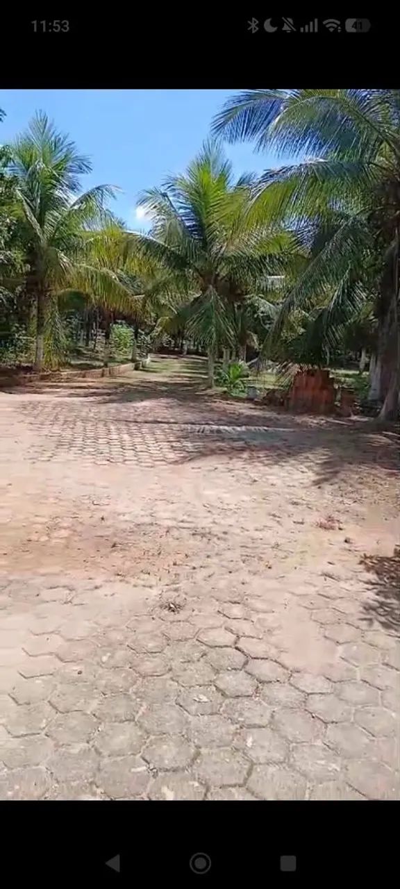 Vendo ou troco sítio em minas - Foto 3