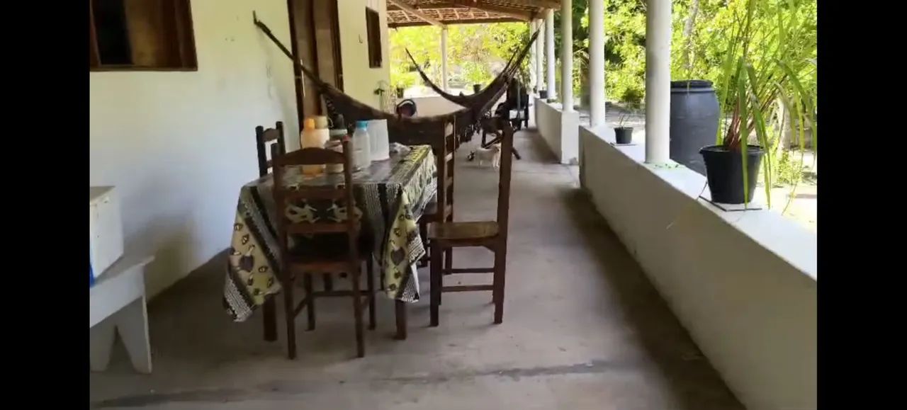Sítio Vargem Verde/São Domingos - Sergipe  - Foto 5
